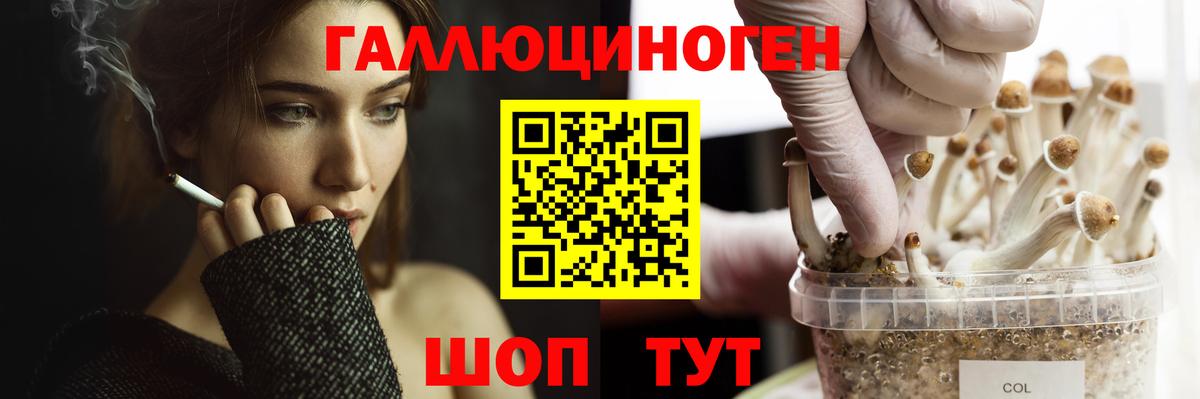 Грязи  Псилоцибиновые грибы ЛСД  наркотики  Вход с VPN 